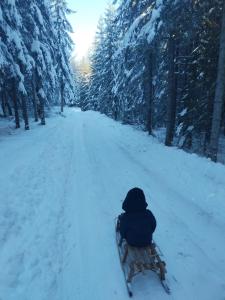 Apartman Teodora Uvac