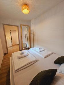 Ljubljana Center Budget Apartment