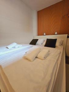 Ljubljana Center Budget Apartment