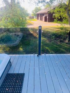 Freddy Mercury 52 The Meadows