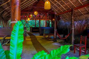 Jungle Host Hostel And Tree House