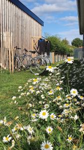 Villas Villa Adishatz, new house, pool & garden : photos des chambres