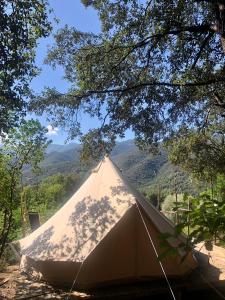 Tentes de luxe glamping Bonheur : photos des chambres