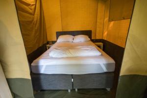 Prachtige 4 persoons glampingtent op rustige kleine camping