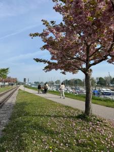 Appartements Gite du Flot - Baie de Somme : photos des chambres
