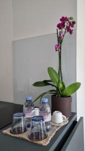 outsideIN Lightstudio