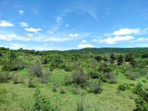 Hills view apartment