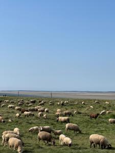 Appartements Gite du Flot - Baie de Somme : Maison 4 Chambres