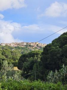 A Casa di Titti - Goelba