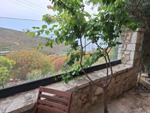 Vila D Boutique Hotel