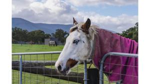 The Junction by Tiny Away