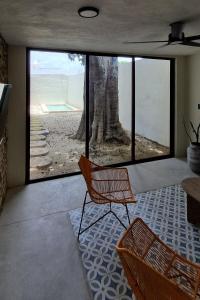 Casa Guaya - Centro Mérida