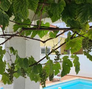 Encantadora Vila Amoreira, perto Óbidos O Refúgio perfeito