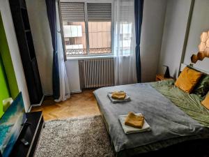 Downtown condo National Theatre, University square