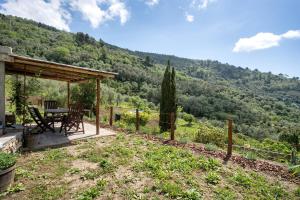 Modern Heritage House