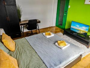 Downtown condo National Theatre, University square