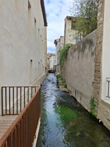 Appartements L'ISLE D'OR - LES AMANDIERS - 3 etoiles - 1er etage : photos des chambres