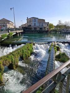 Appartements L'ISLE D'OR - LES AMANDIERS - 3 etoiles - 1er etage : photos des chambres