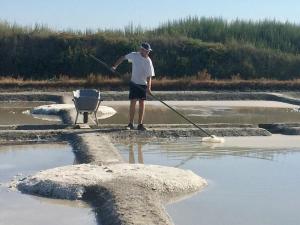 Maisons de vacances Fleur de Sel, longere au calme , proche mer et plages : photos des chambres