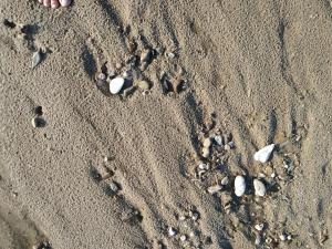 MYdomek . Mały Domek w Kazimierzu