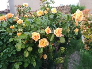 B&B / Chambres d'hotes Maison isivier : photos des chambres