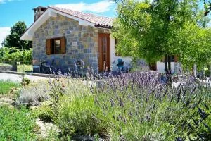 Holiday House Ida - Bočaji