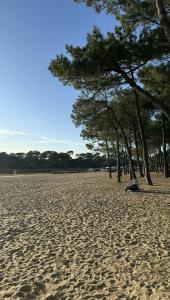 Hotels Paloma : photos des chambres
