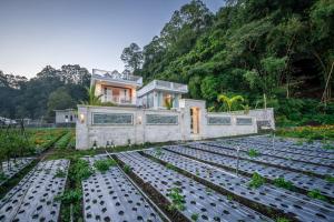 Hayana 3 Bedroom Pool Villa Hill View Kintamani