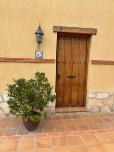 Apartamentos los Olivos