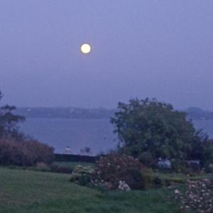 Chalets Chalet Lestraouen : photos des chambres