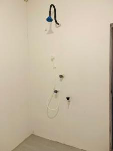 FMS Rooms & Hostel