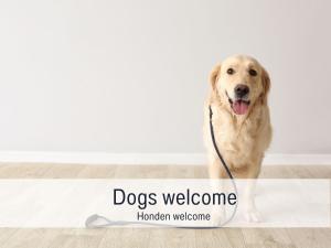 PAULIS cozy 4-bedroom vacation home - with 4 bathrooms sun terrace & sauna, nice to hike & bike, to chil & meet