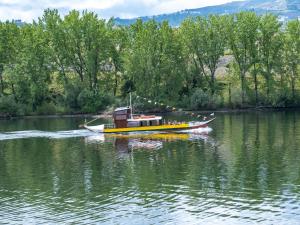 Casa do Sino, Estadia Moderna Perto do Douro
