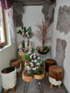 Gästehaus-Pension Familie Dwars