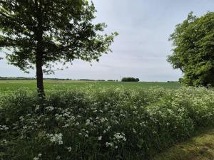 La Tournerie, Gîte 10 pers piscine près Puy du Fou