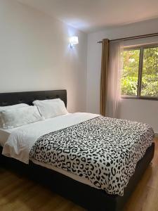 One Bedrooms 230 Heron Drive Nyari Estate