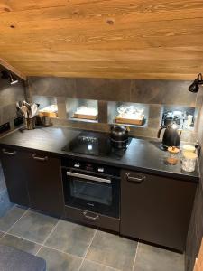 Apartment Alys, contemporary style apartment in mountain village