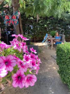 Kanela, charming home in central Amaliada