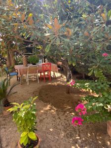 Kanela, charming home in central Amaliada