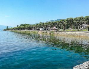 Appartements Studio lumineux au coeur d-Aix-les-Bains : photos des chambres