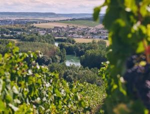 Maisons de vacances 
