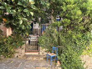 Appartements Appart 2 pieces 2 couchages BANYULS SUR MER BN000-18A : photos des chambres