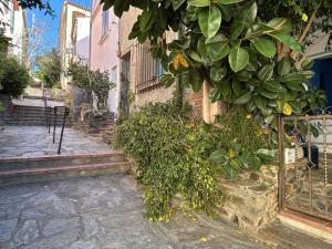 Appartements Appart 2 pieces 2 couchages BANYULS SUR MER BN000-18A : photos des chambres
