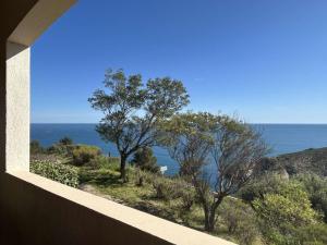 Appartements Appart 2 pieces 4 couchages BANYULS SUR MER BN120-4101 : photos des chambres
