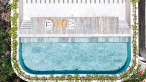 Kaabin Jungle Living C5