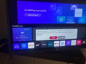 A cosy Apartment just for you to relax