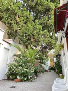 Casa Palermo Green space