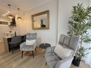 Estudio Centrico Iris