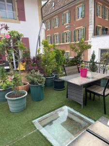 Appartement SEPHORA accès terrasse commune