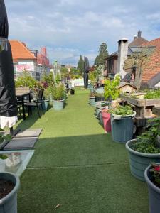 Appartement SEPHORA accès terrasse commune